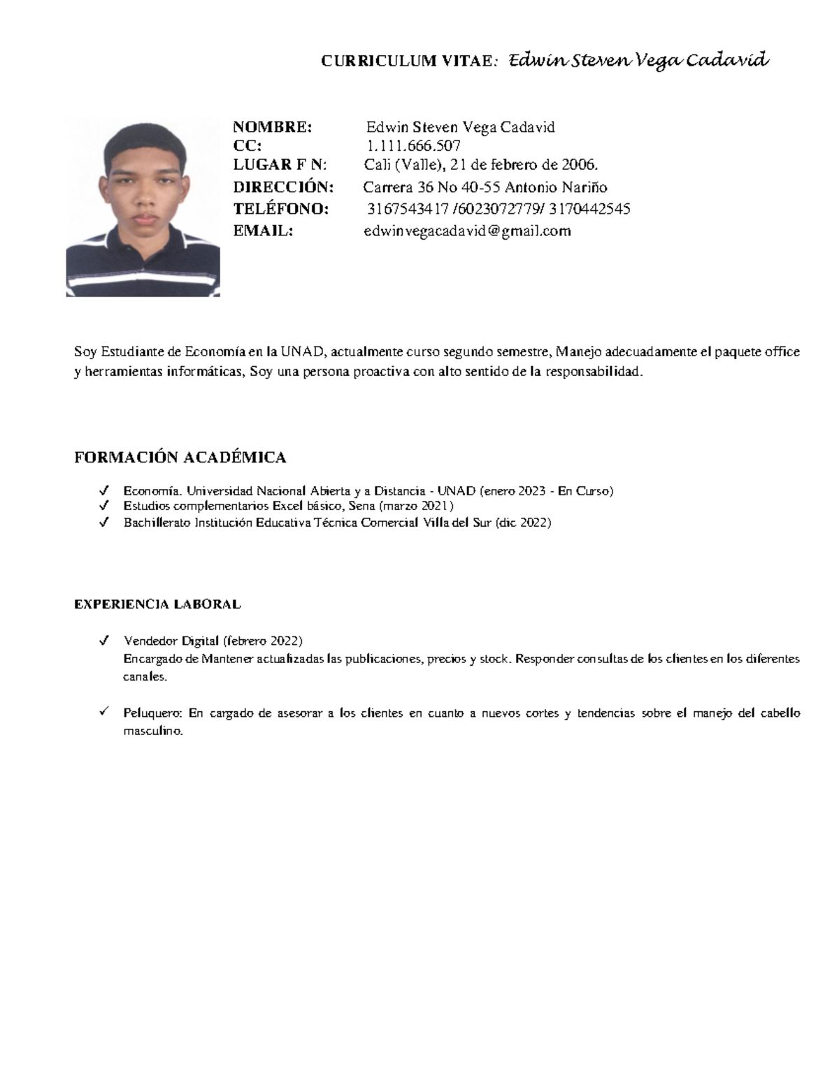 CV Edwin VEGA Cadavid - jajaajajaajajaj - CURRICULUM VITAE: Edwin ...