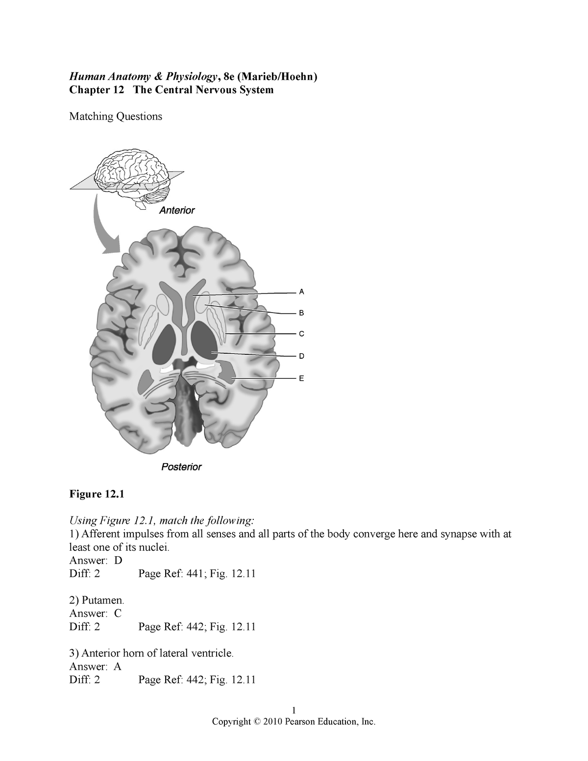 Ch12 Test Bank - Test 2 - Human Anatomy & Physiology, 8e (Marieb/Hoehn ...