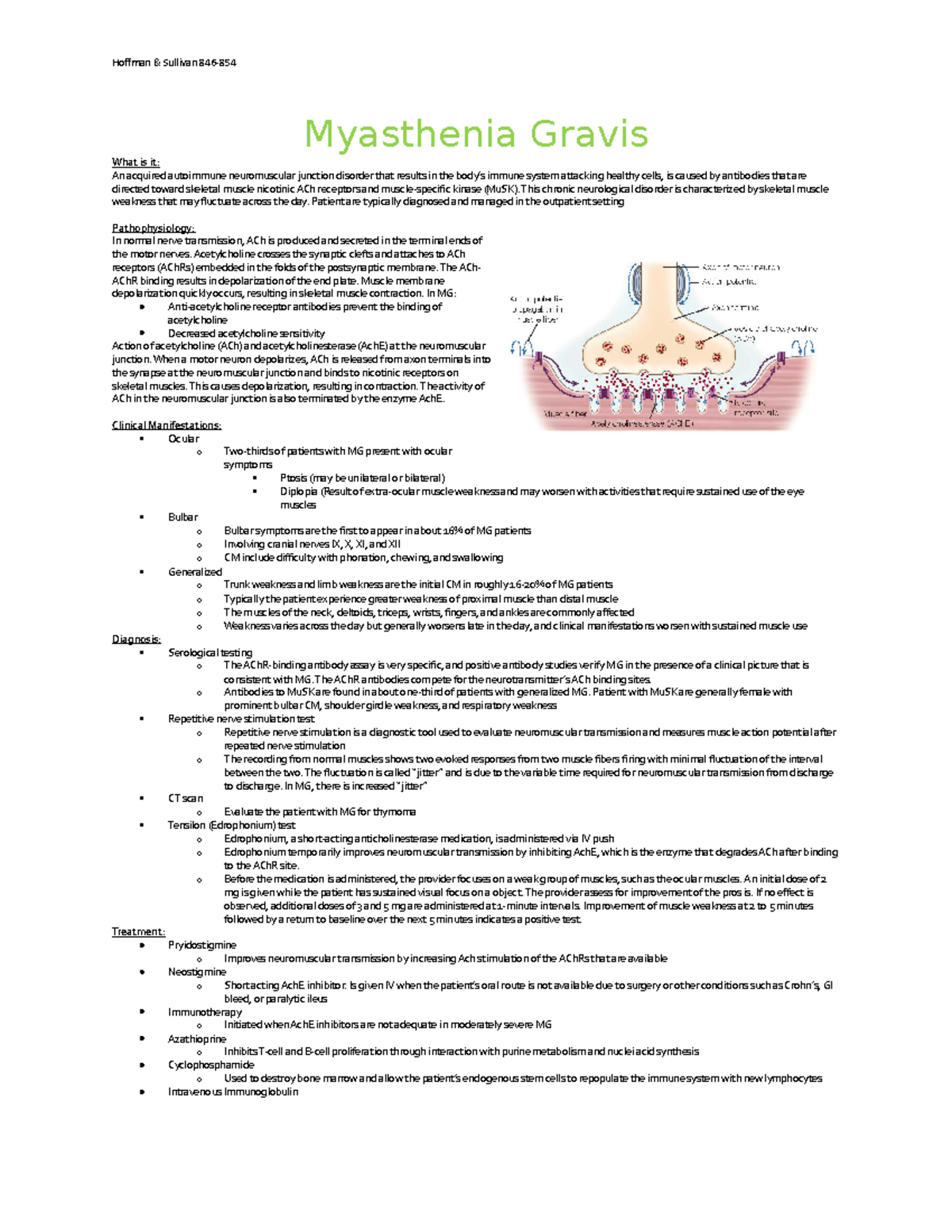 Myasthenia Gravis - Patho sheet - Hoffman &amp; Sullivan 846- Myasthenia Gravis What is it: An - Studocu