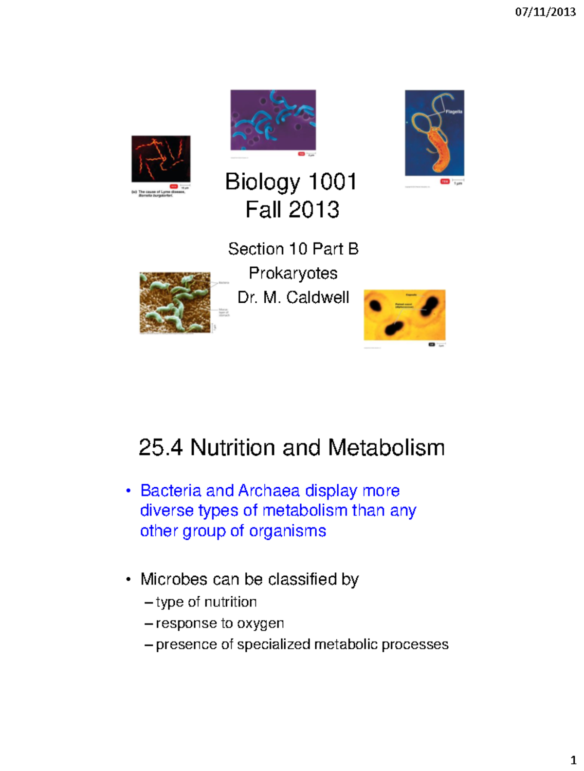 Biology 1001 F13 Section 10B - 2 Slides - 07/11/2013 Biology 1001 Fall ...