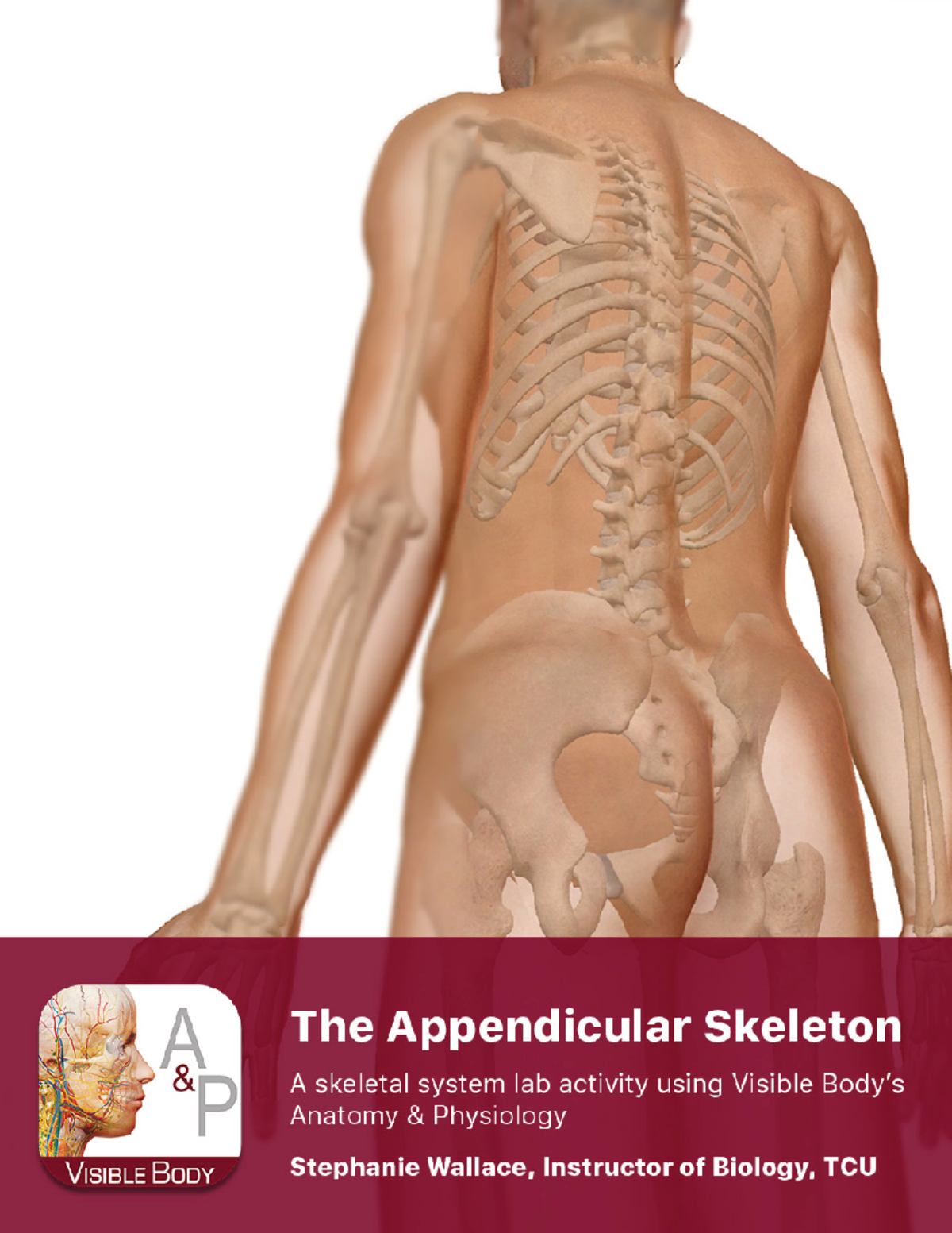 Lab manual appendicular skeleton a+p 1 - PRE-LAB EXERCISES When ...