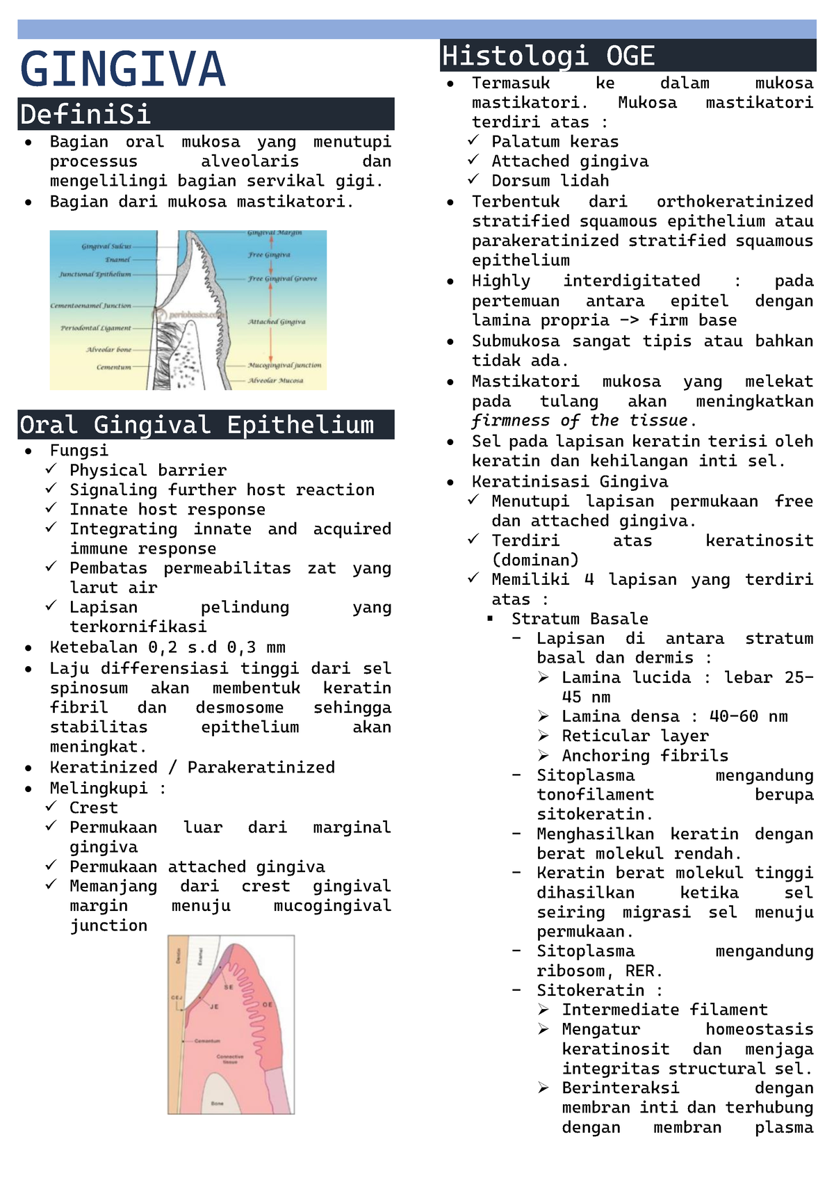 Gingiva Histologi GINGIVA DefiniSi Bagian Oral Mukosa Yang Menutupi Processus Alveolaris Dan