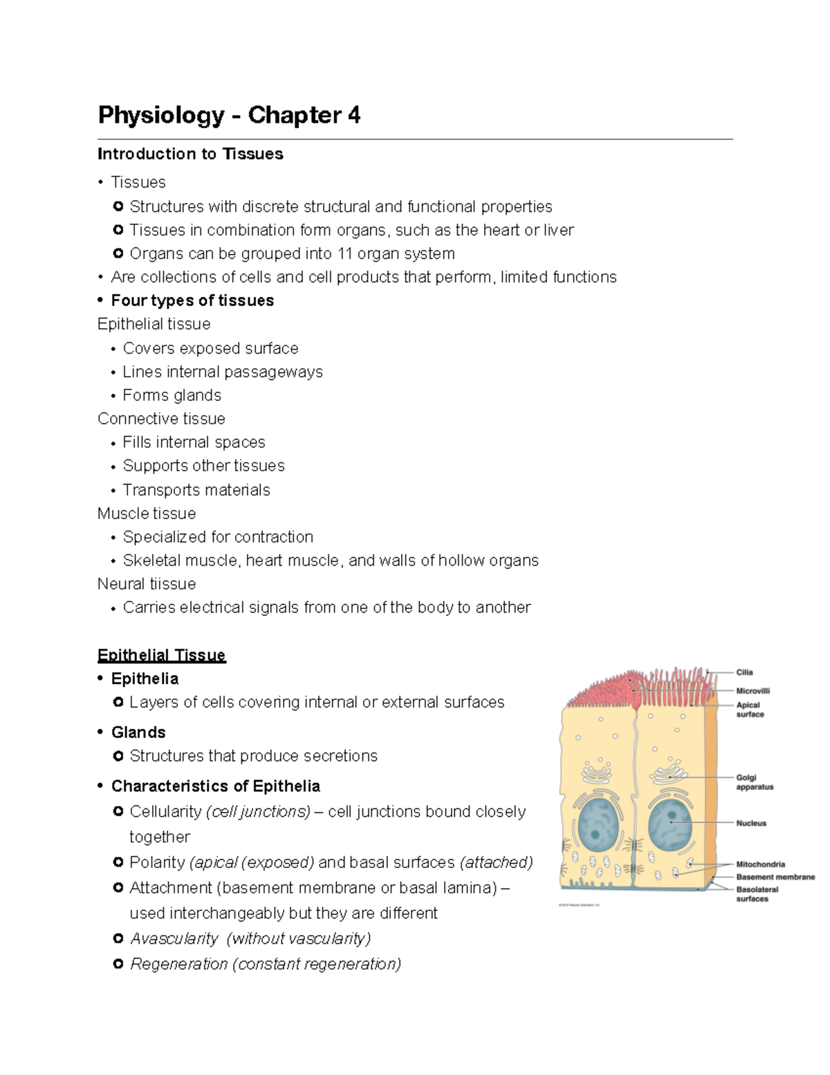 anatomy and physiology chapter 4 homework