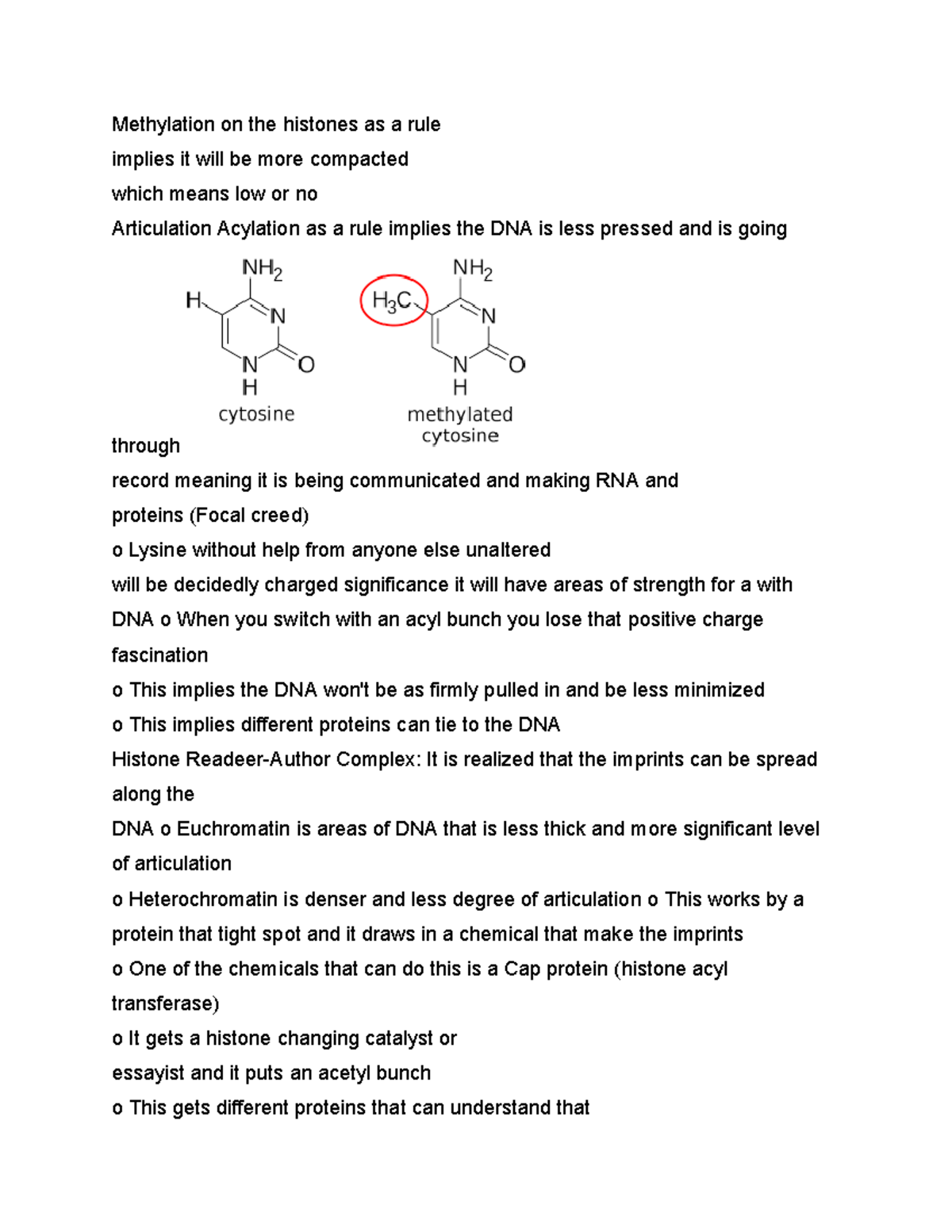 Methylation Studocu   Thumb 1200 1553 