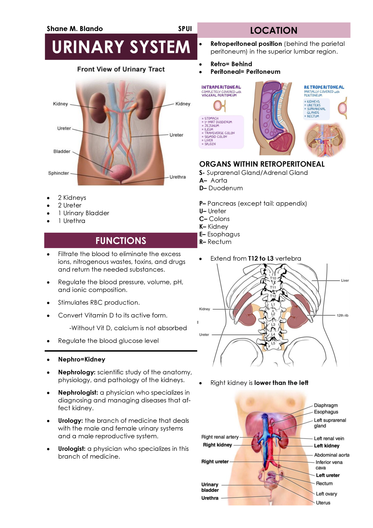 Urinary System Pearsons - Shane M. Blando SPUI URINARY SYSTEM 2 Kidneys ...