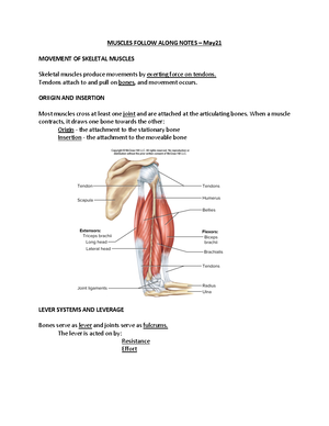 week 1 case study muscle