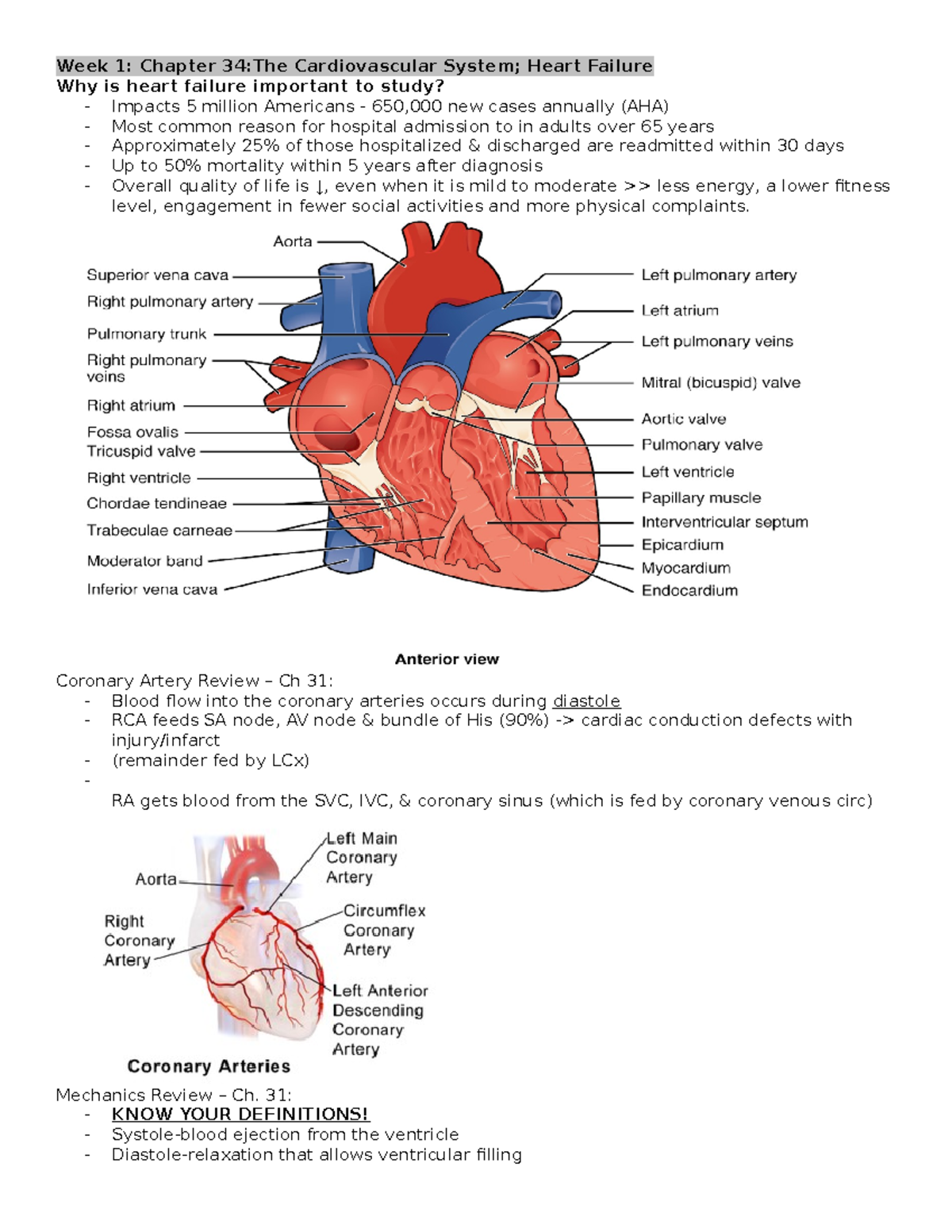 Cardiovascular System, Heart Failure - Coronary Artery Review – Ch 31 ...