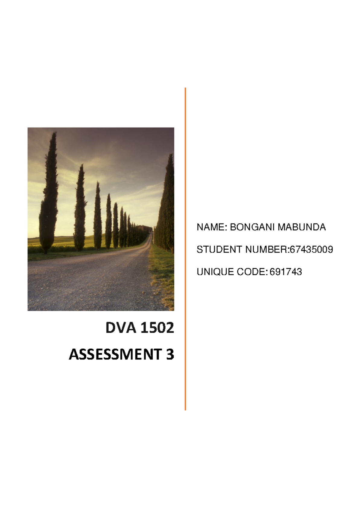 DVA 1502 Assignment 3 - Introduction to development studies - NAME ...