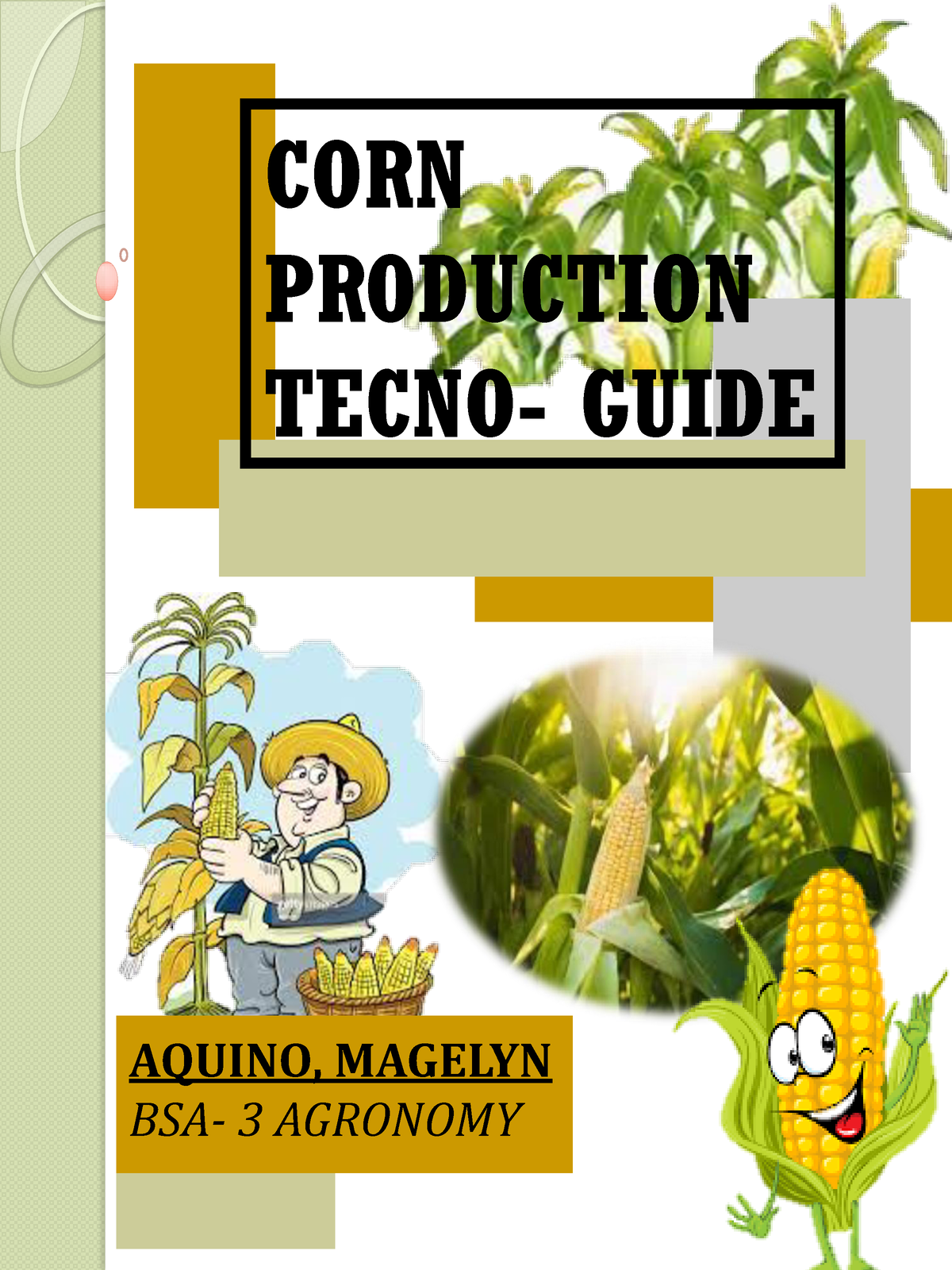 The Corn production Technology Guide CORN PRODUCTION TECNO GUIDE