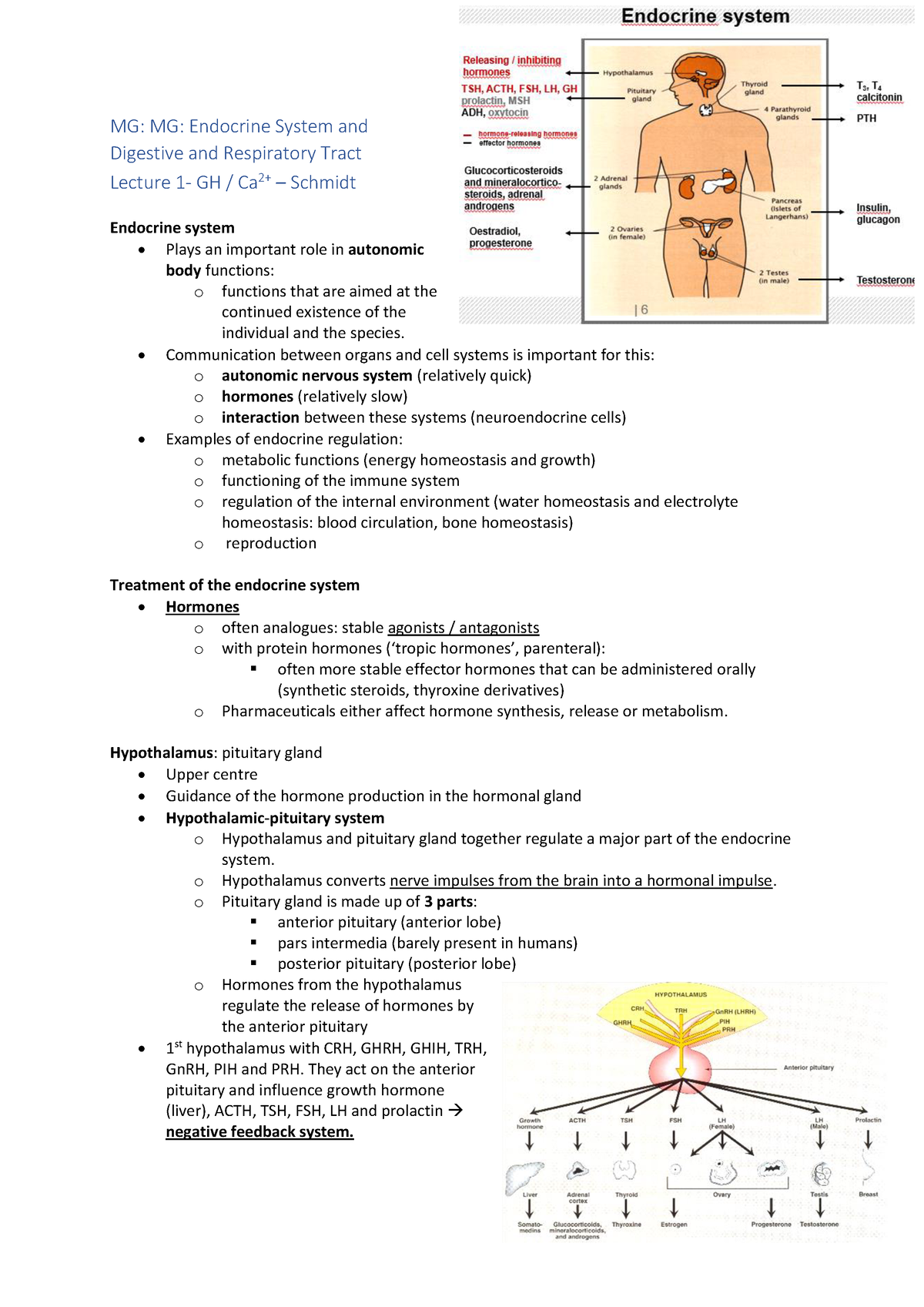 Summary MG endocrine course - MG: MG: Endocrine System and Digestive ...