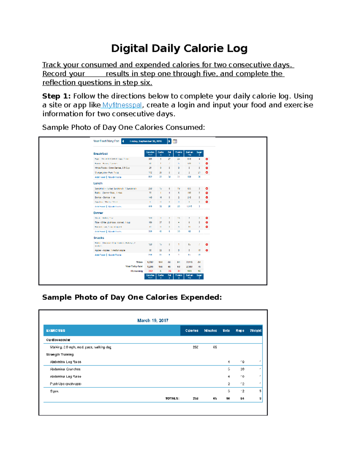 Digital daily calorie log Digital Daily Calorie Log Track your