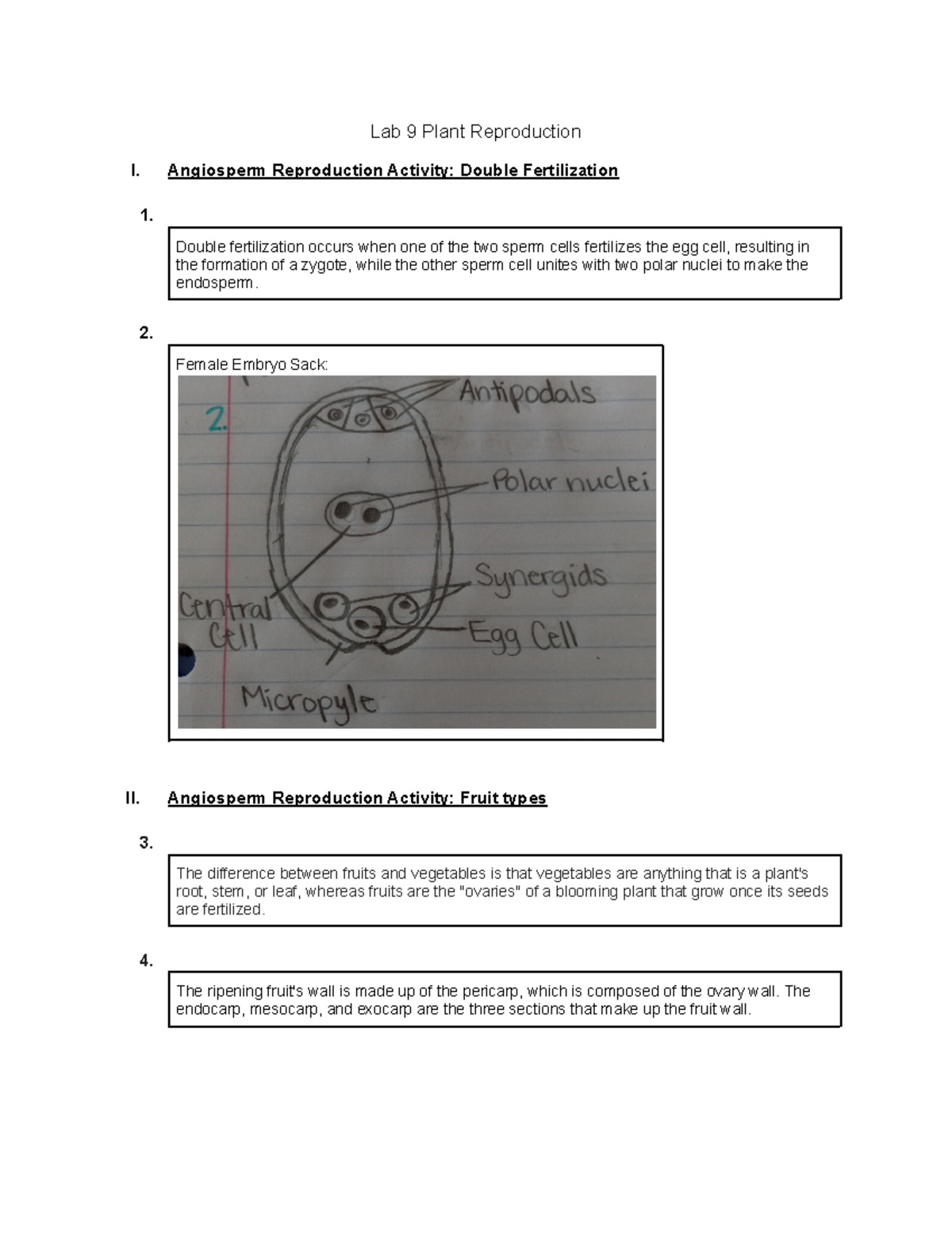 Lab 9 Plant Reproduction Lab 9 Plant Reproduction I. Angiosperm