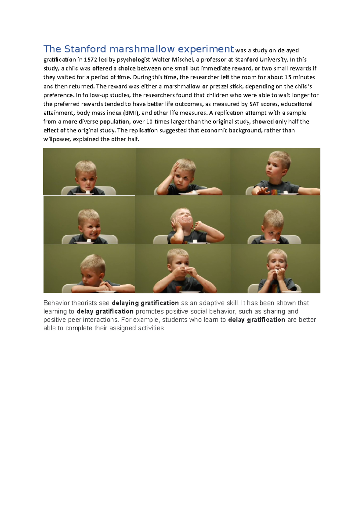 Marshmallow test voor wekrstuk en examenstof The Stanford