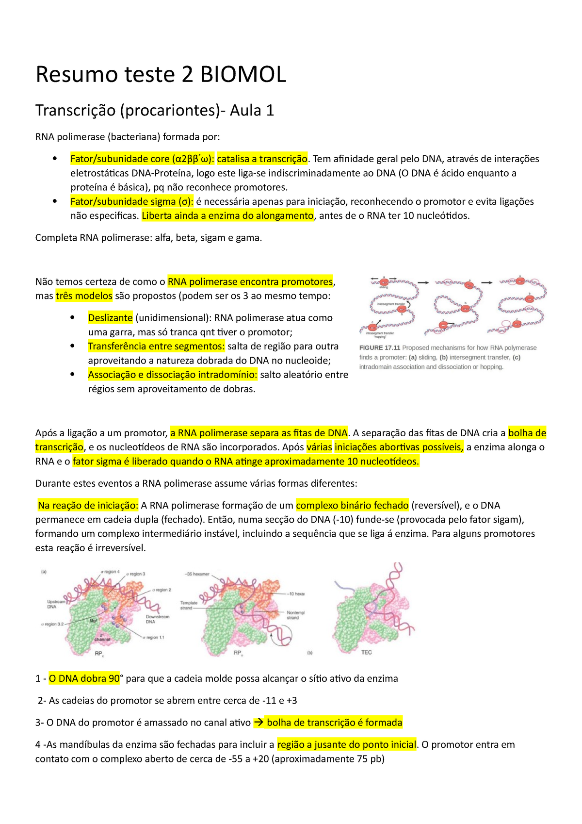 Resumo Teste 2 Biomol Resumo Teste 2 Biomol Transcrição Procariontes Aula 1 Rna Polimerase