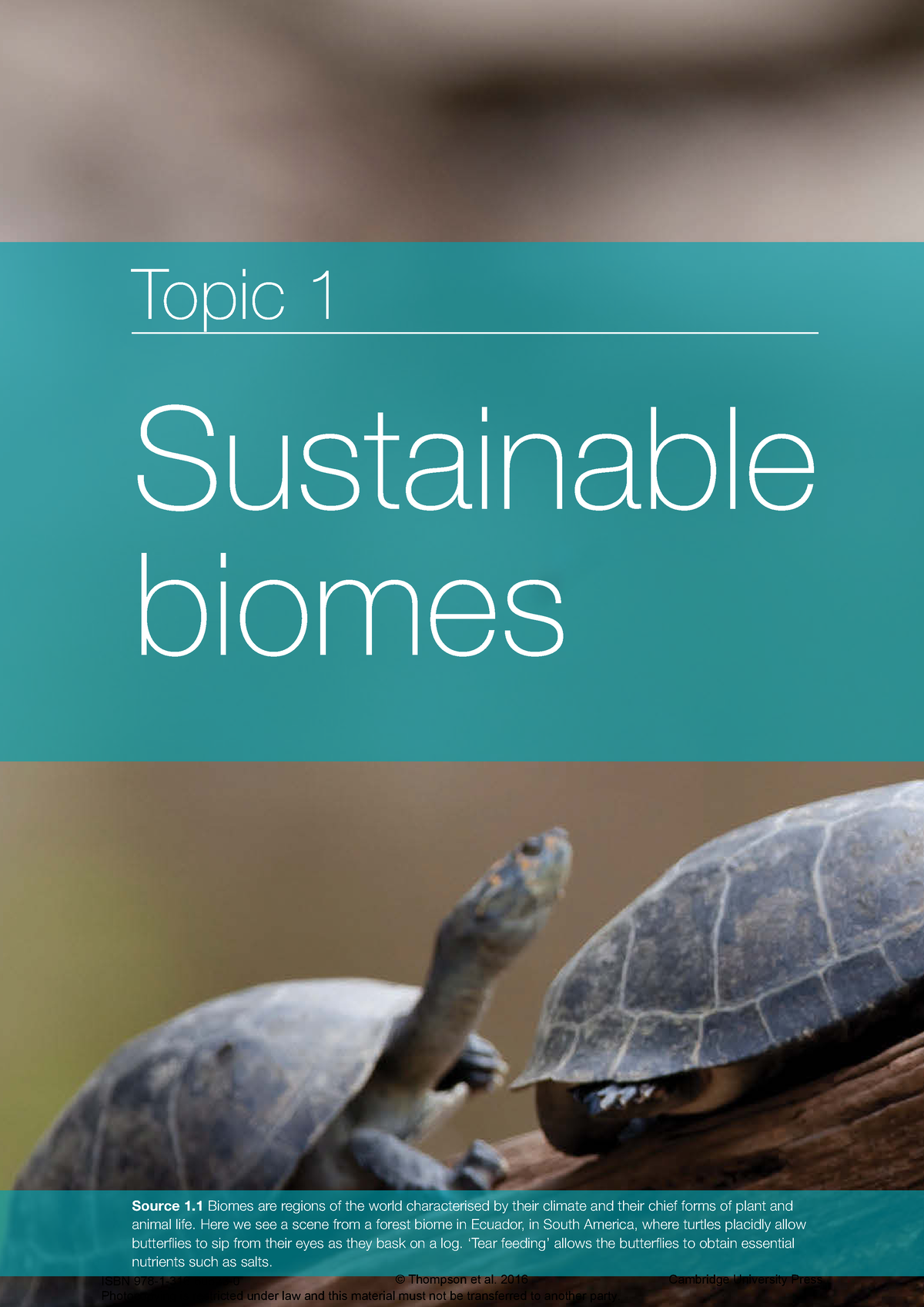 YR9 Geography Chapter 1 - Biomes - Source 1 Biomes Are Regions Of The ...