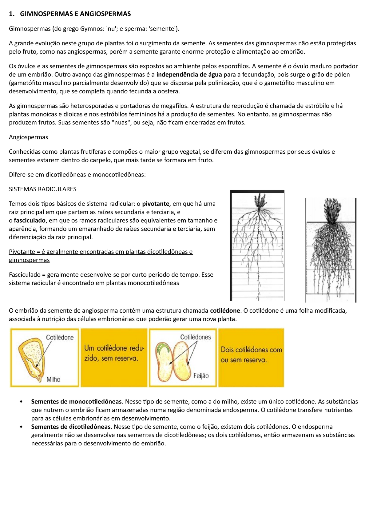 Angiospermas - Seminário Angiospermas