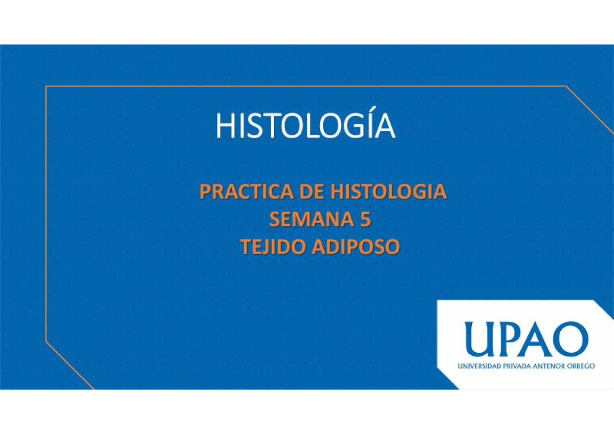 S5 Tejido Adiposo - HISTOLOGÍA OBJETIVOS DE LA PRÁCTICA El Alumno ...