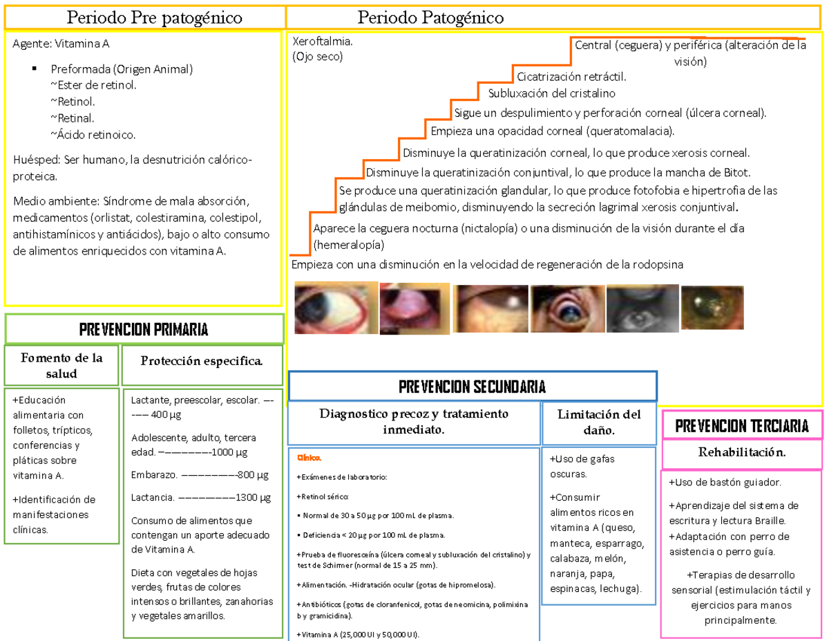 Vitamina A Xeroftalmia - Periodo Pre patogénico Periodo Patogénico ...