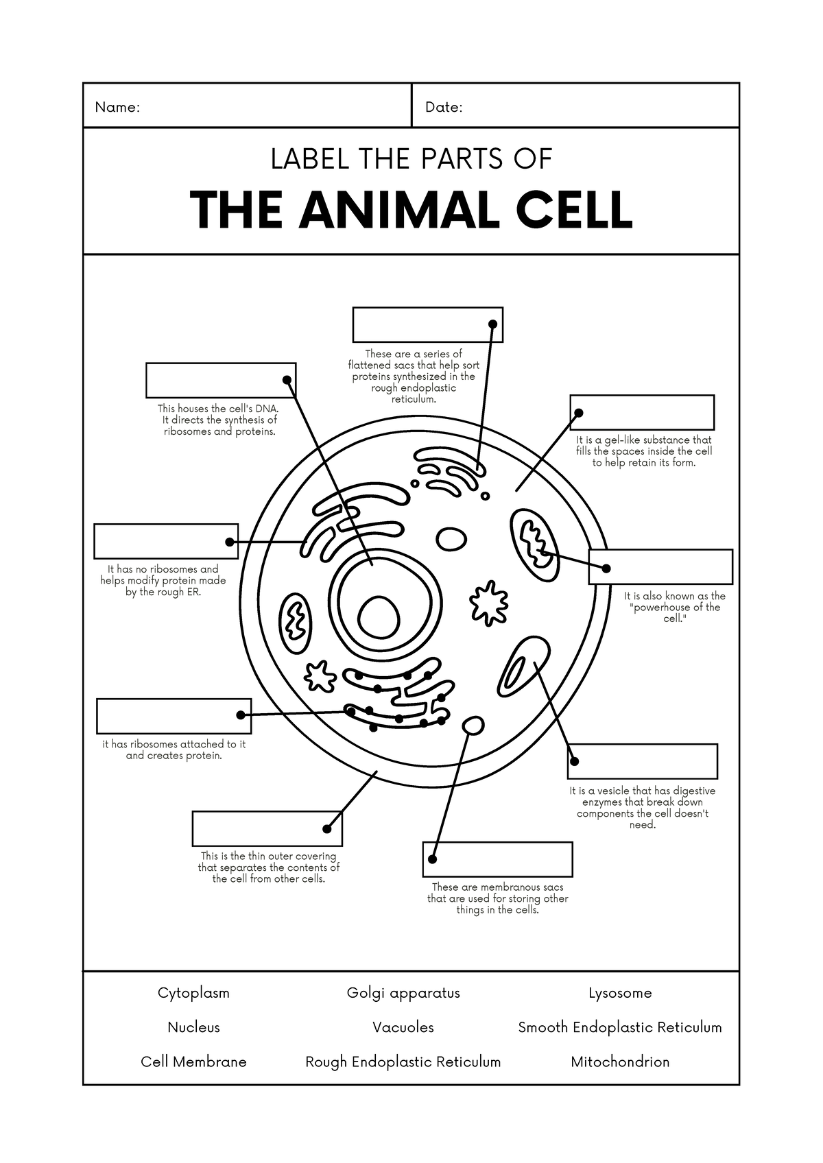 Black and White Lined Animal Cell Biology Worksheet - These are a ...