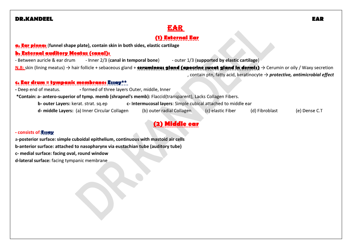 Ear - histology some notes - Ear (1) Extern al Ear a pinna:(funnel ...