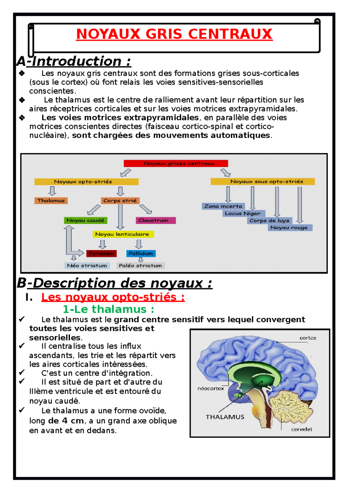 voie des noyaux gris centraux