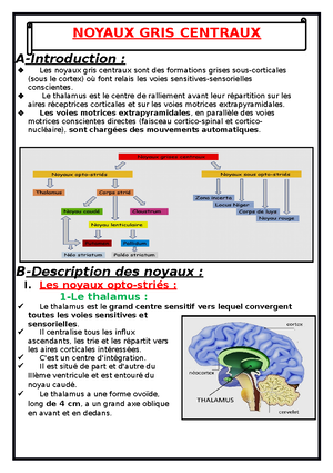 voie des noyaux gris centraux