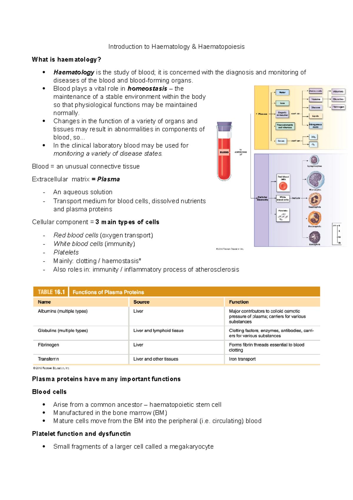 Lecture 1 Introduction To Haematology - Introduction To Haematology ...