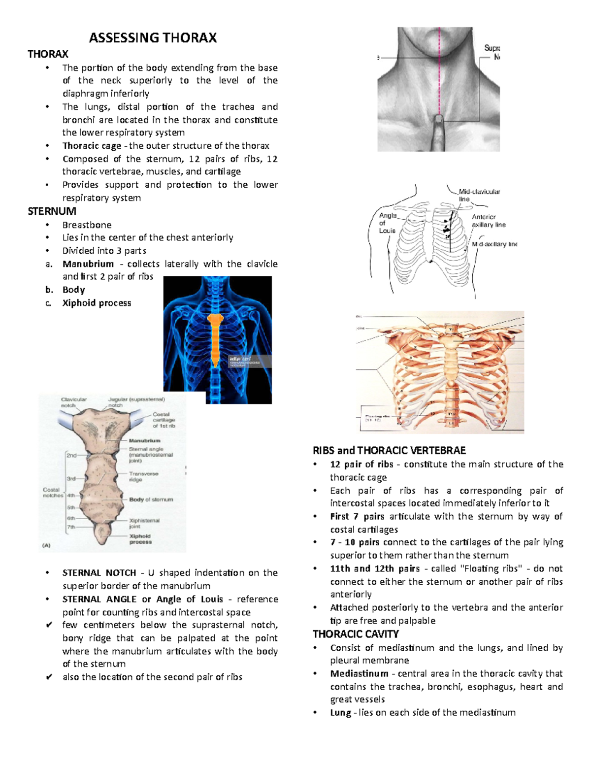 Assessing Thorax - ASSESSING THORAX THORAX The portion of the body ...