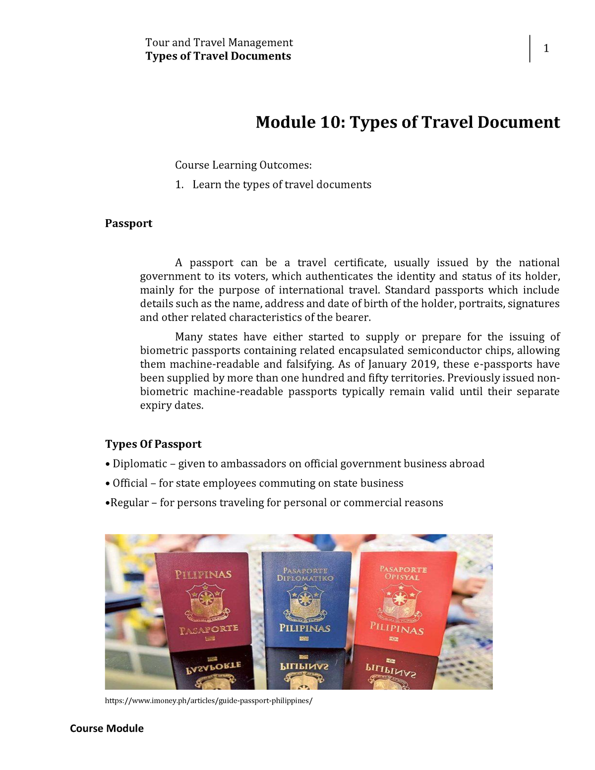 type of travel document held