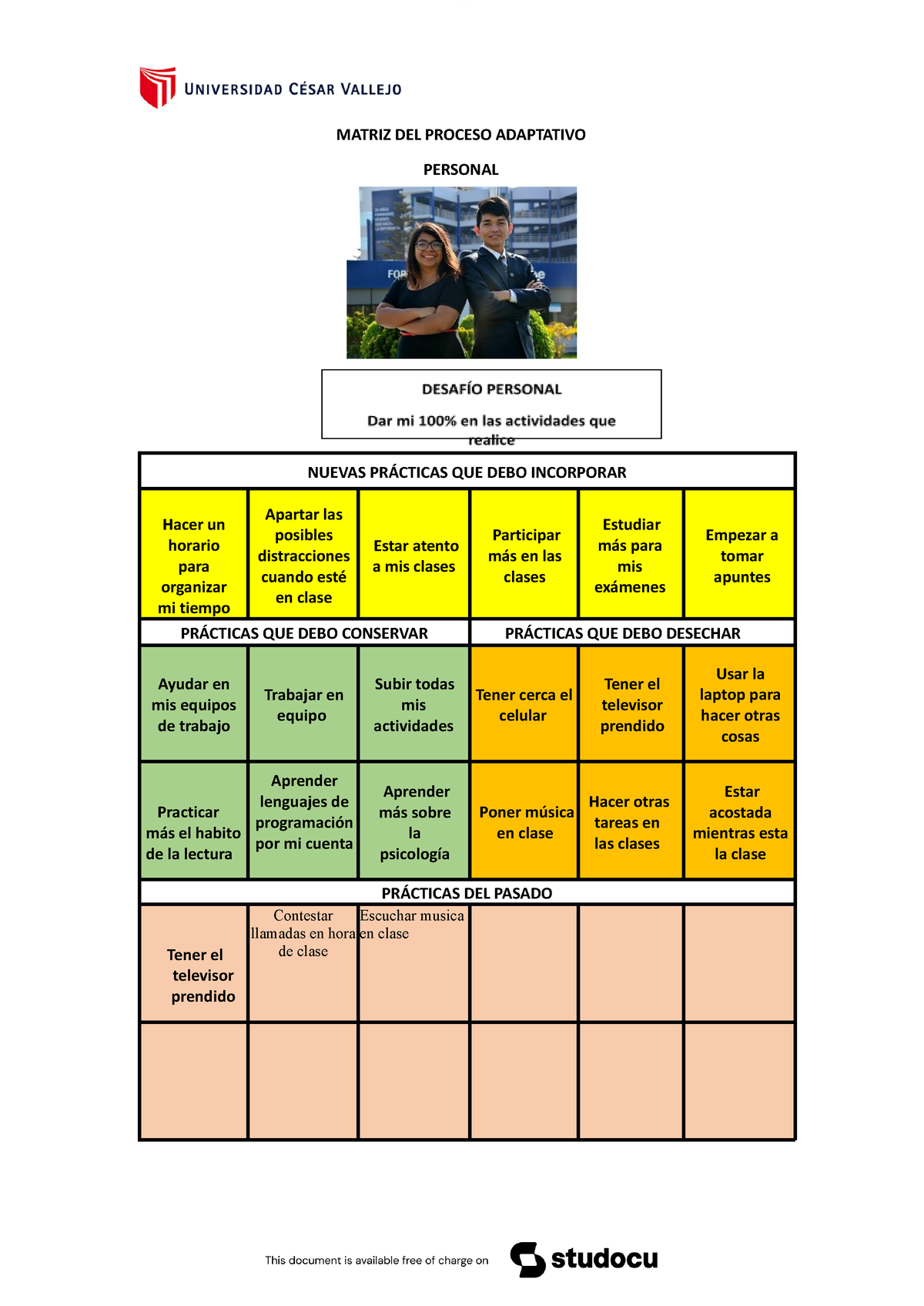 Matriz Del Proceso Adaptativo Pdf Matriz Del Proceso Adaptativo