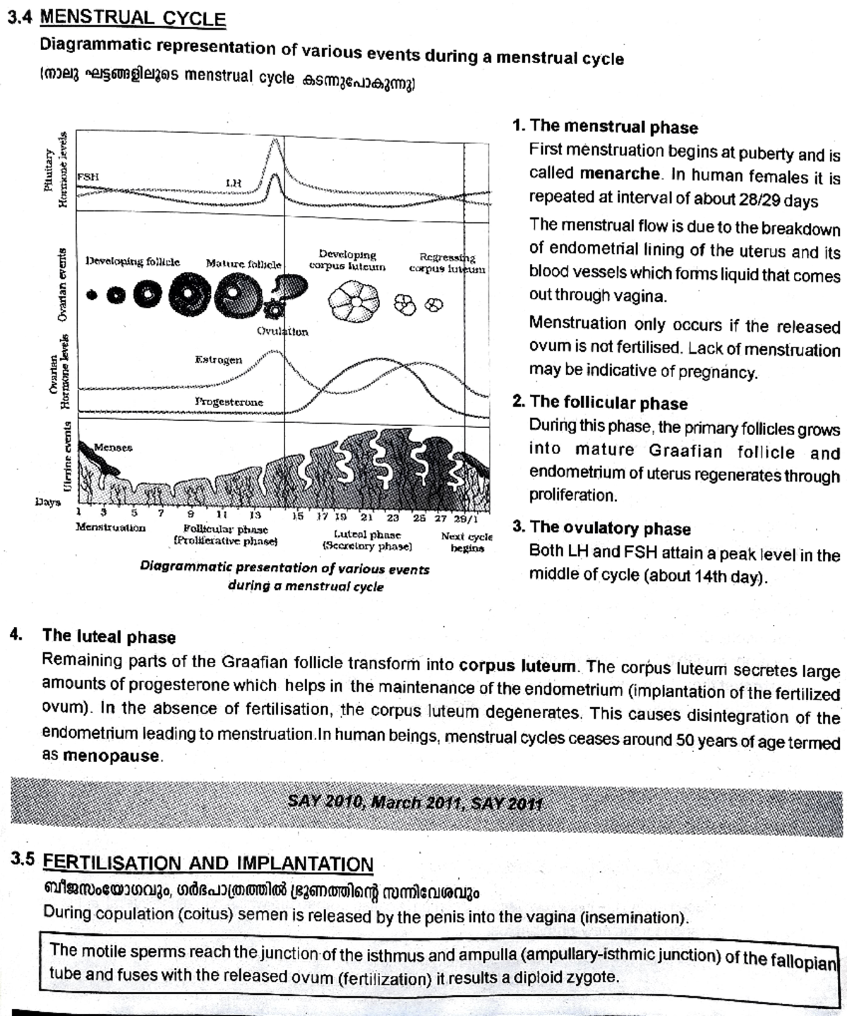 menstrual-cycle-fertilisation-and-implantation-3-menstrual-cycle