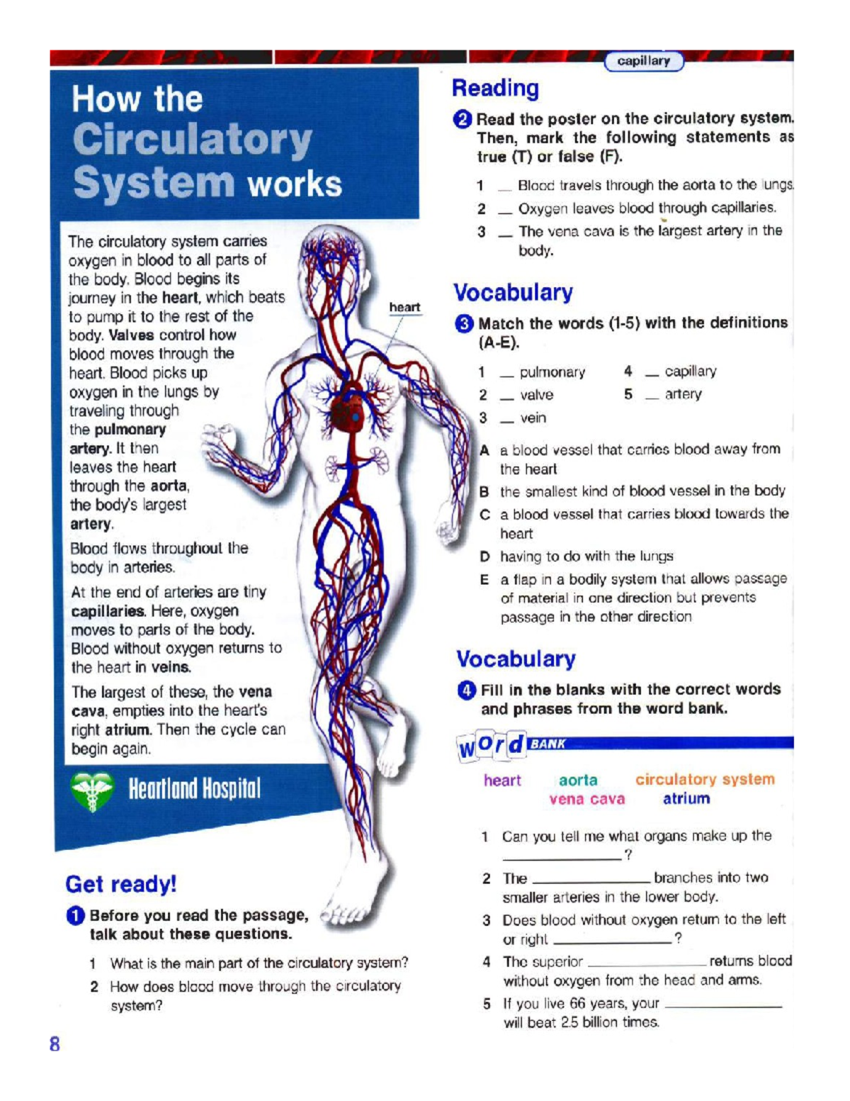 Unit 3 (body system) - En esta materia semestral se lleva este ...