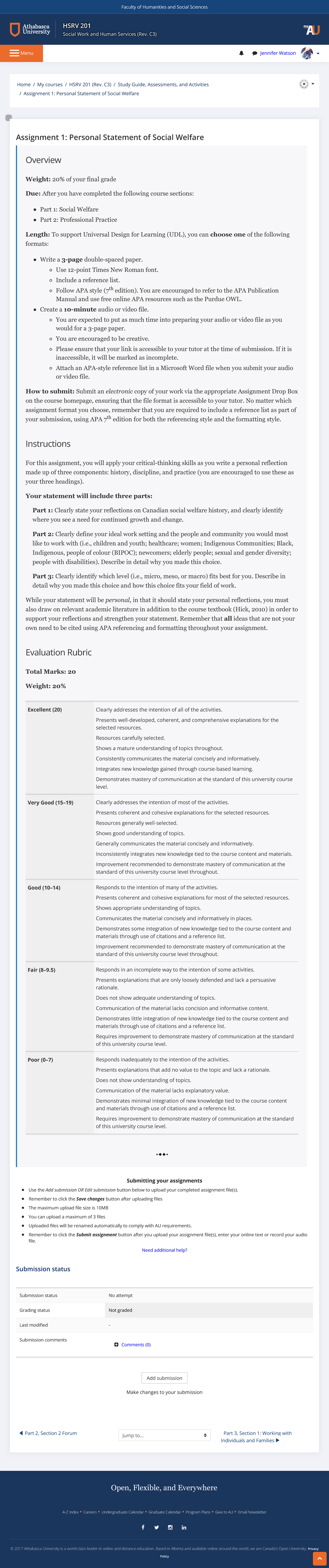 social work assignment example