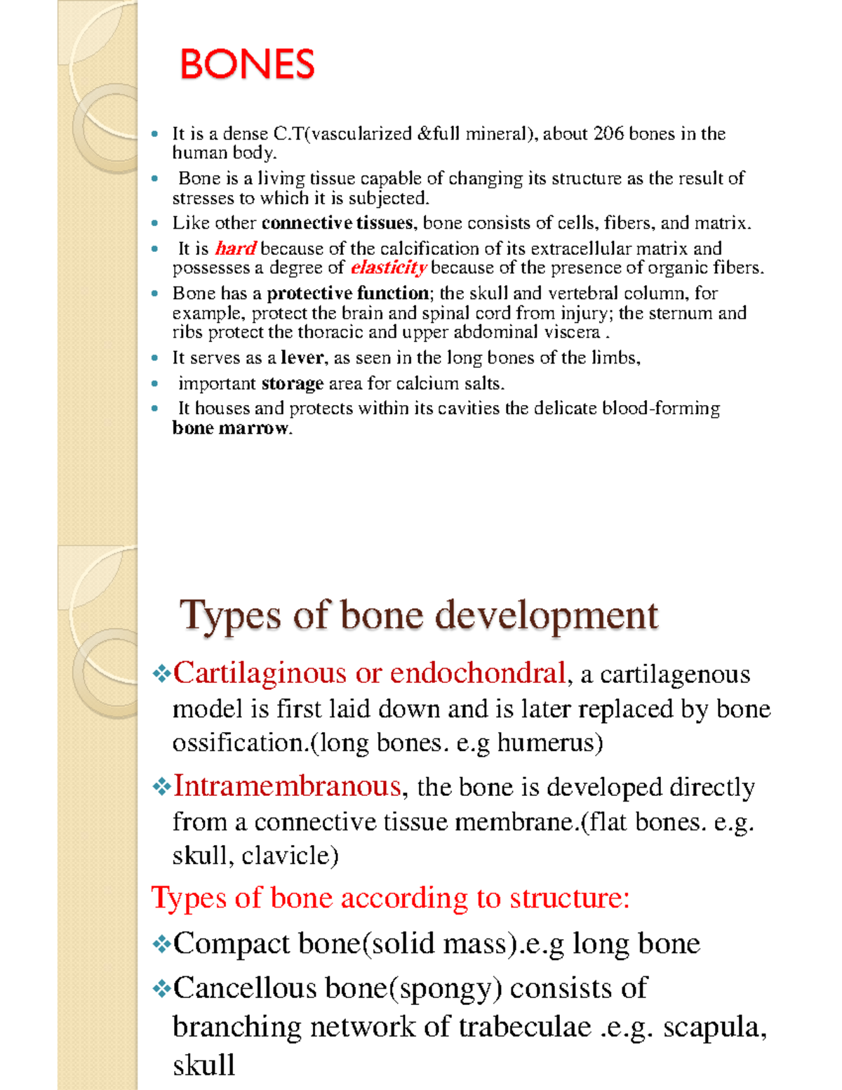 Bones BONES It is a dense C(vascularized &full mineral), about 206