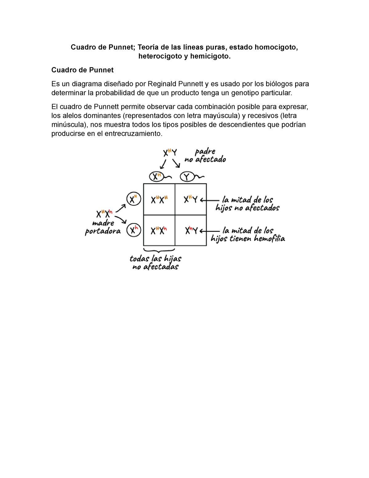 genotipo cuadro de punnett