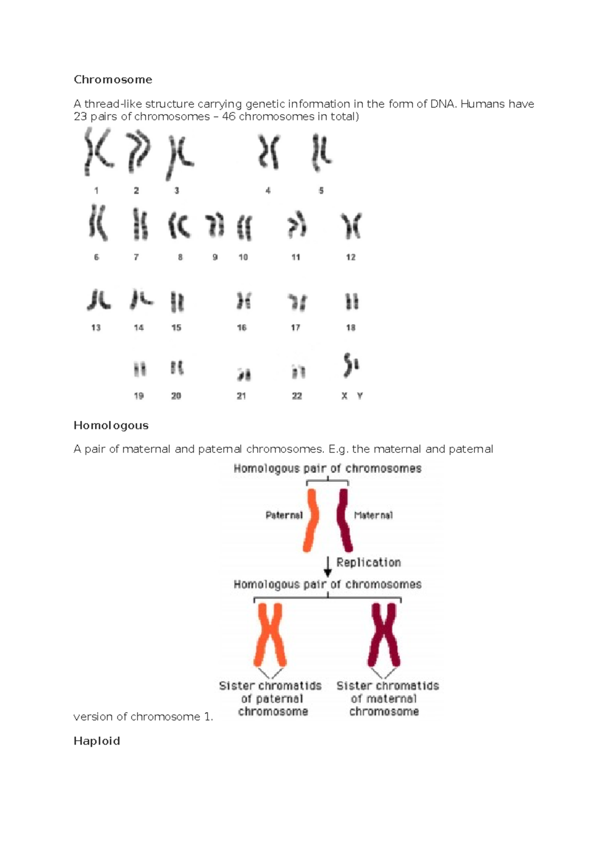 Chromosome - Humans have 23 pairs of chromosomes – 46 chromosomes in ...