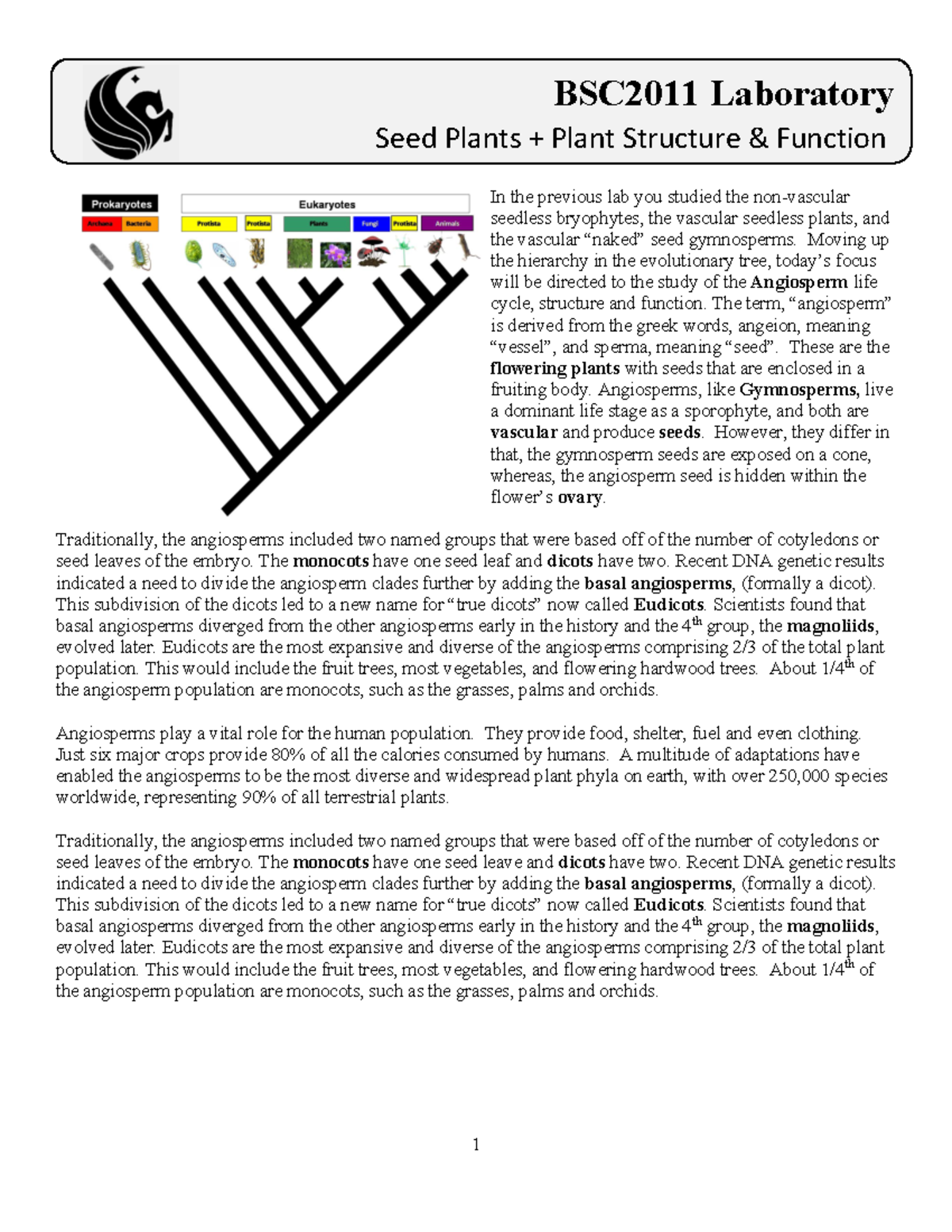 Seed+Plants+%2B+Structure+%26+Function+-+Student - d In the previous ...