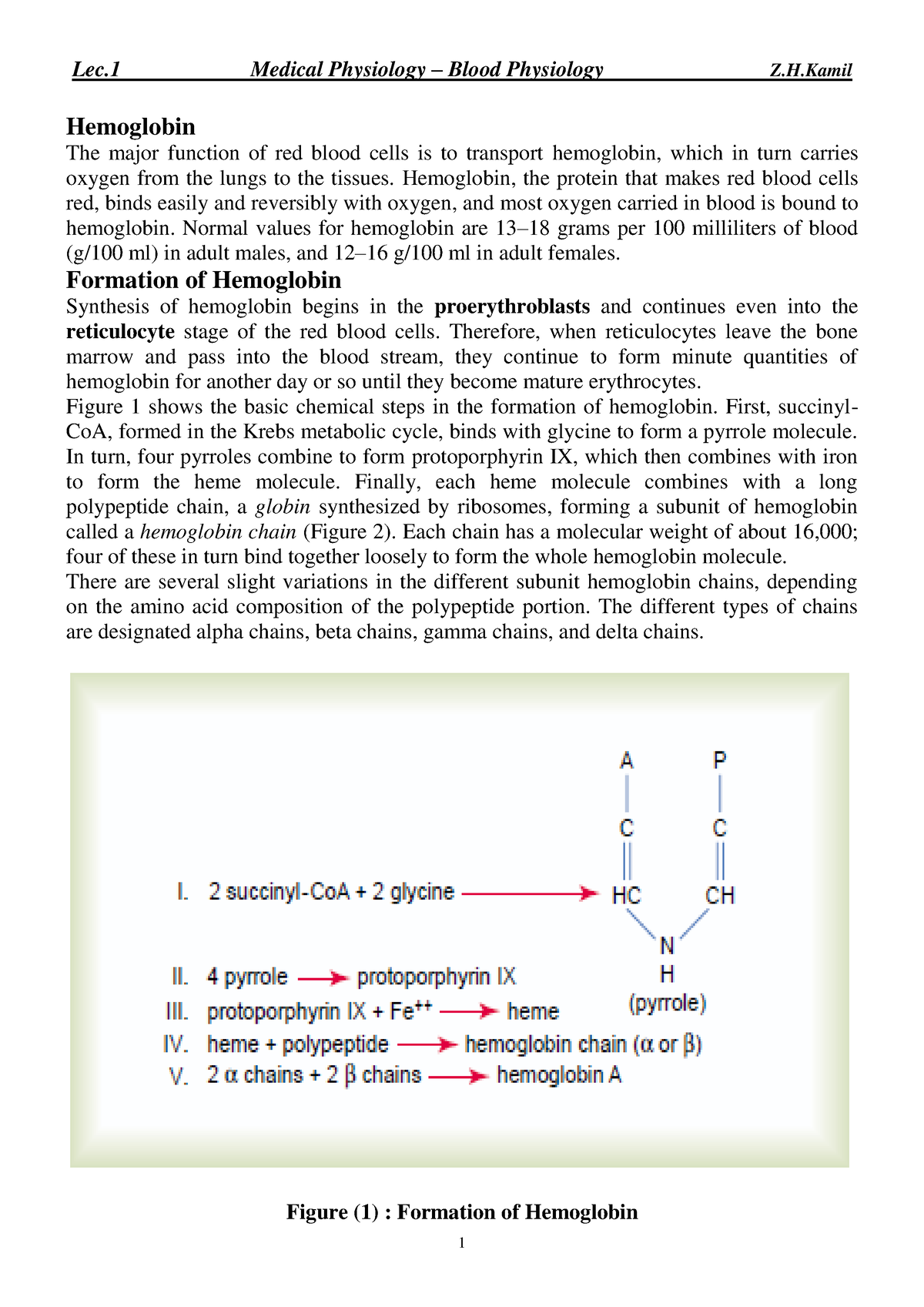 Formation Of Haemoglobin Hemoglobin The Major Function Of Red Blood   Thumb 1200 1697 