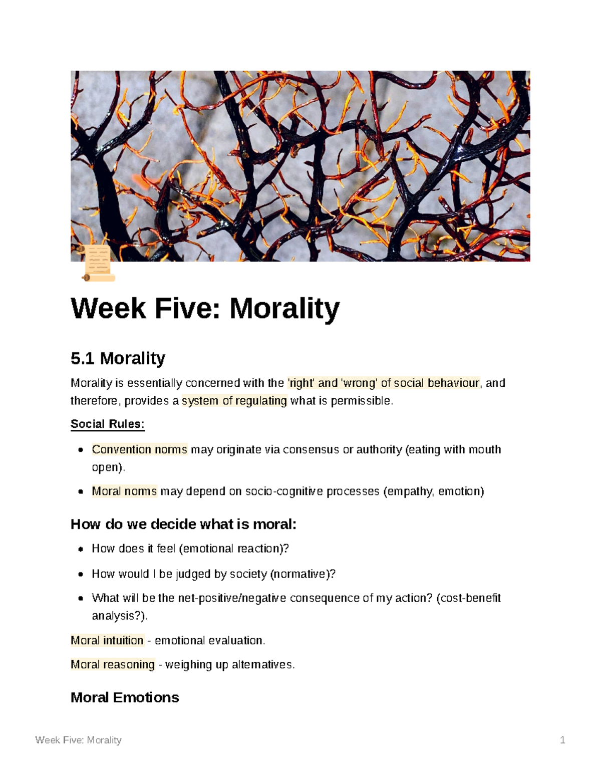 Week Five Morality - Detailed notes on development of social theory ...