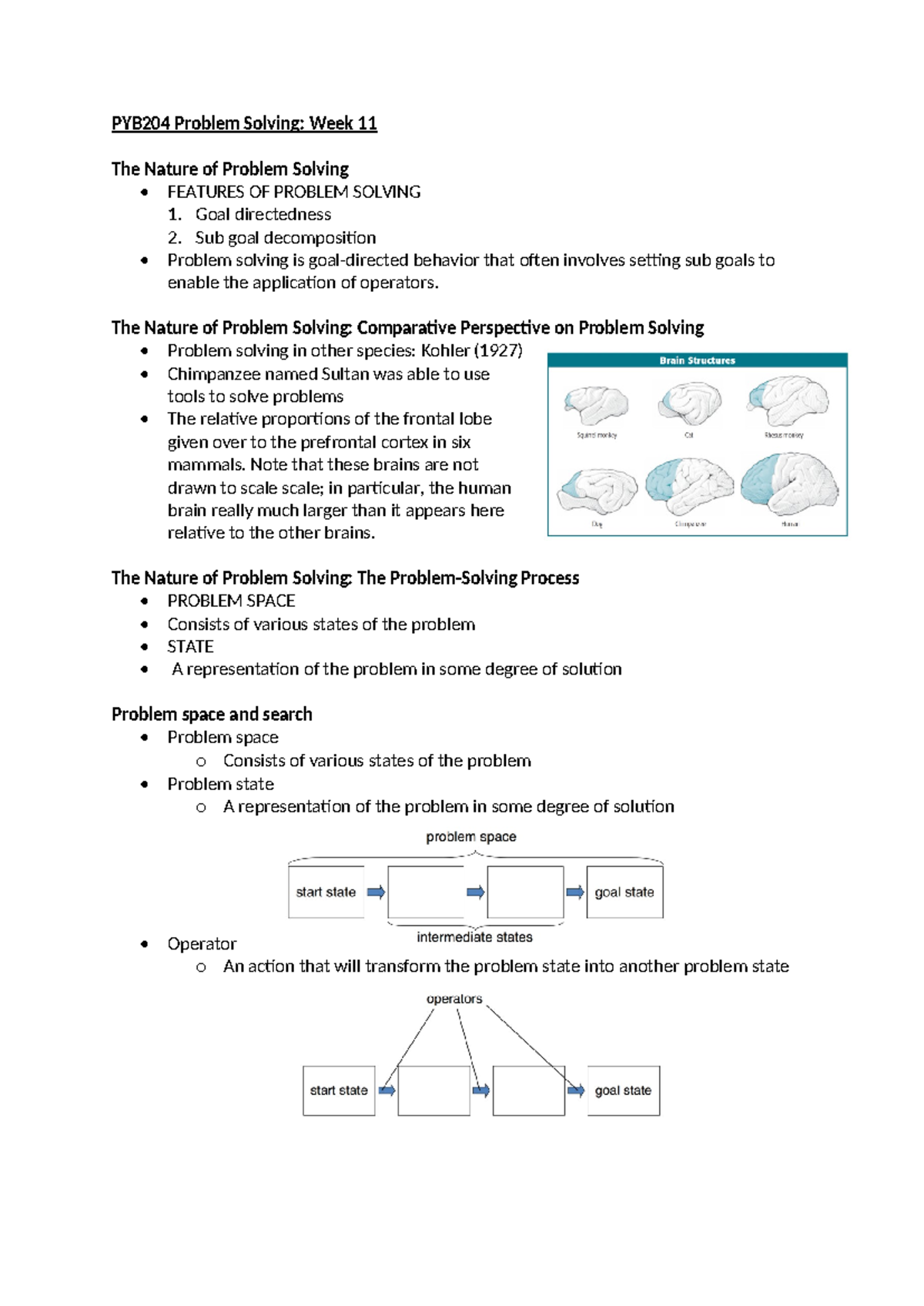 Week 11 - lecture notes from class - PYB204 Problem Solving: Week 11 ...