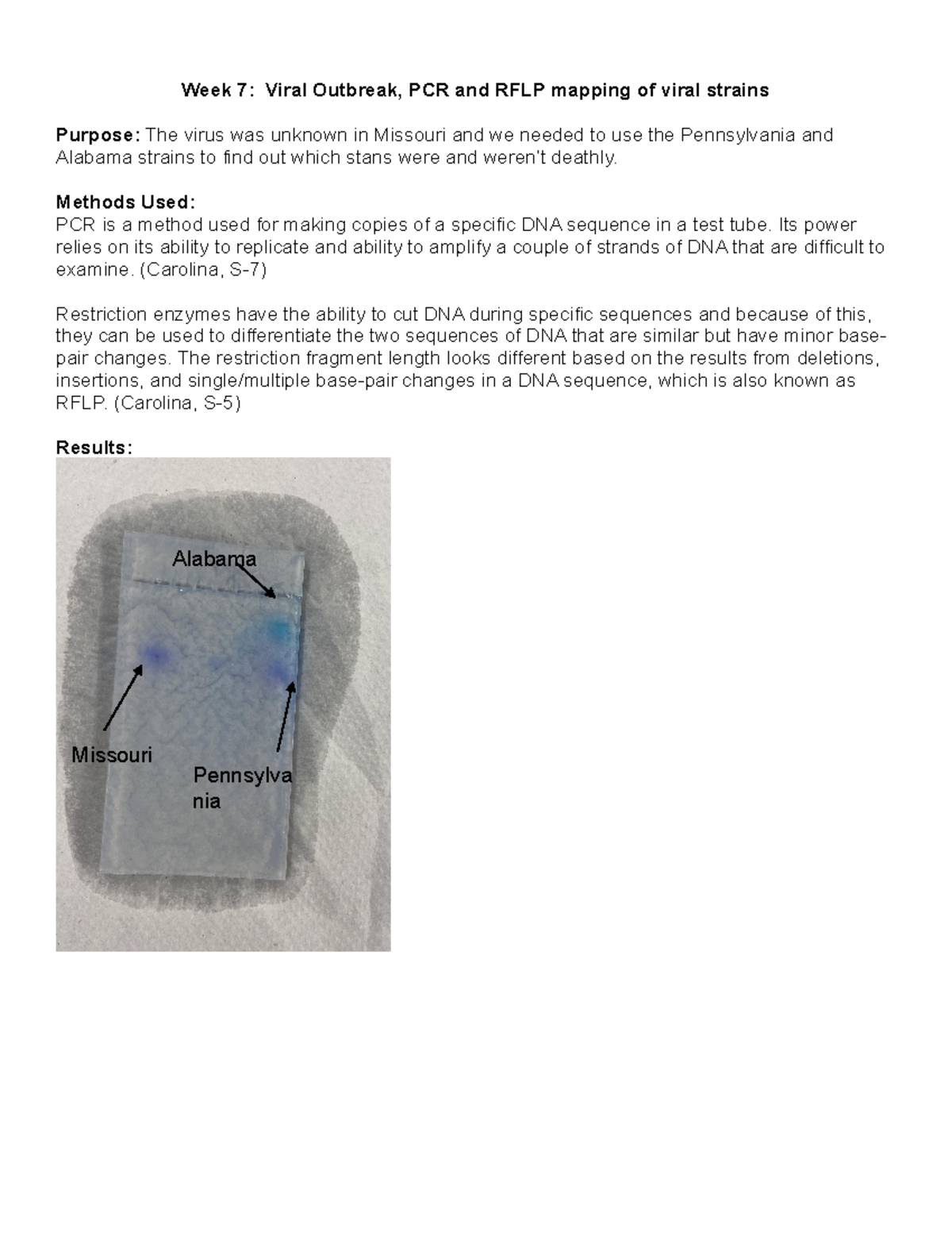 Nottle - Week 7 Lab Report - Week 7: Viral Outbreak, PCR And RFLP ...