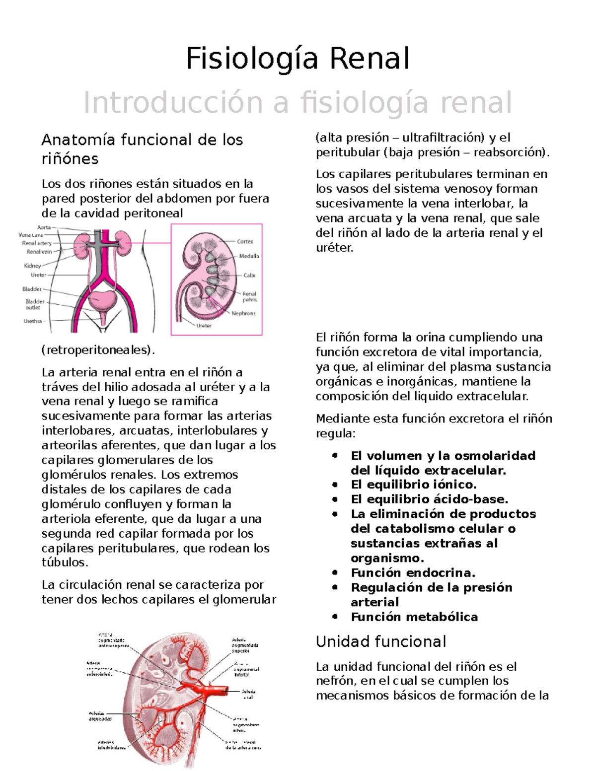 fisiologia renal