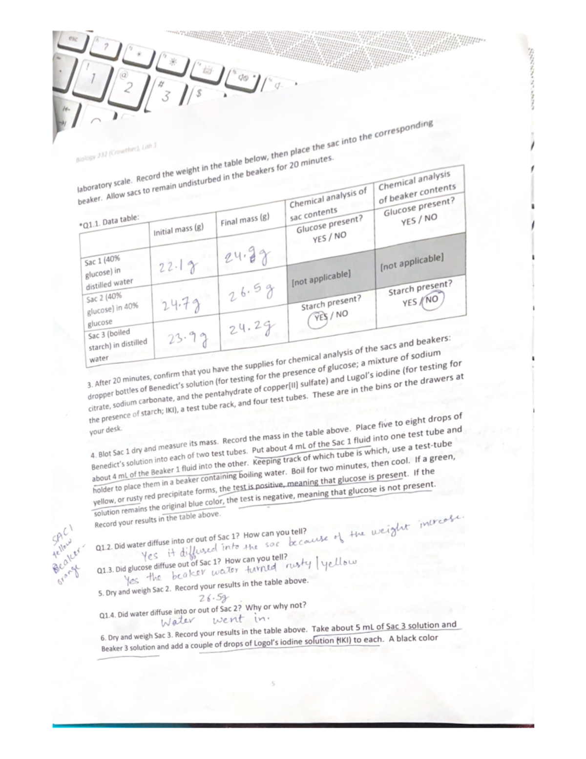 laboratory-scale-record-the-weight-in-the-table-below-then-place-the