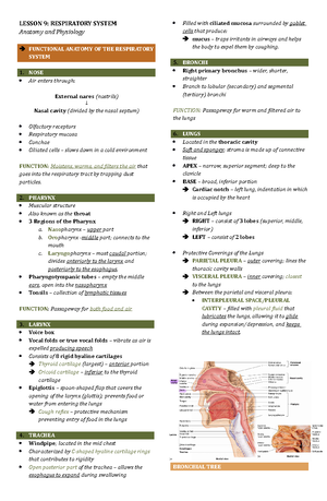 Endocrine System - Anaphy - LESSON 7: ENDOCRINE SYSTEM Anatomy and ...