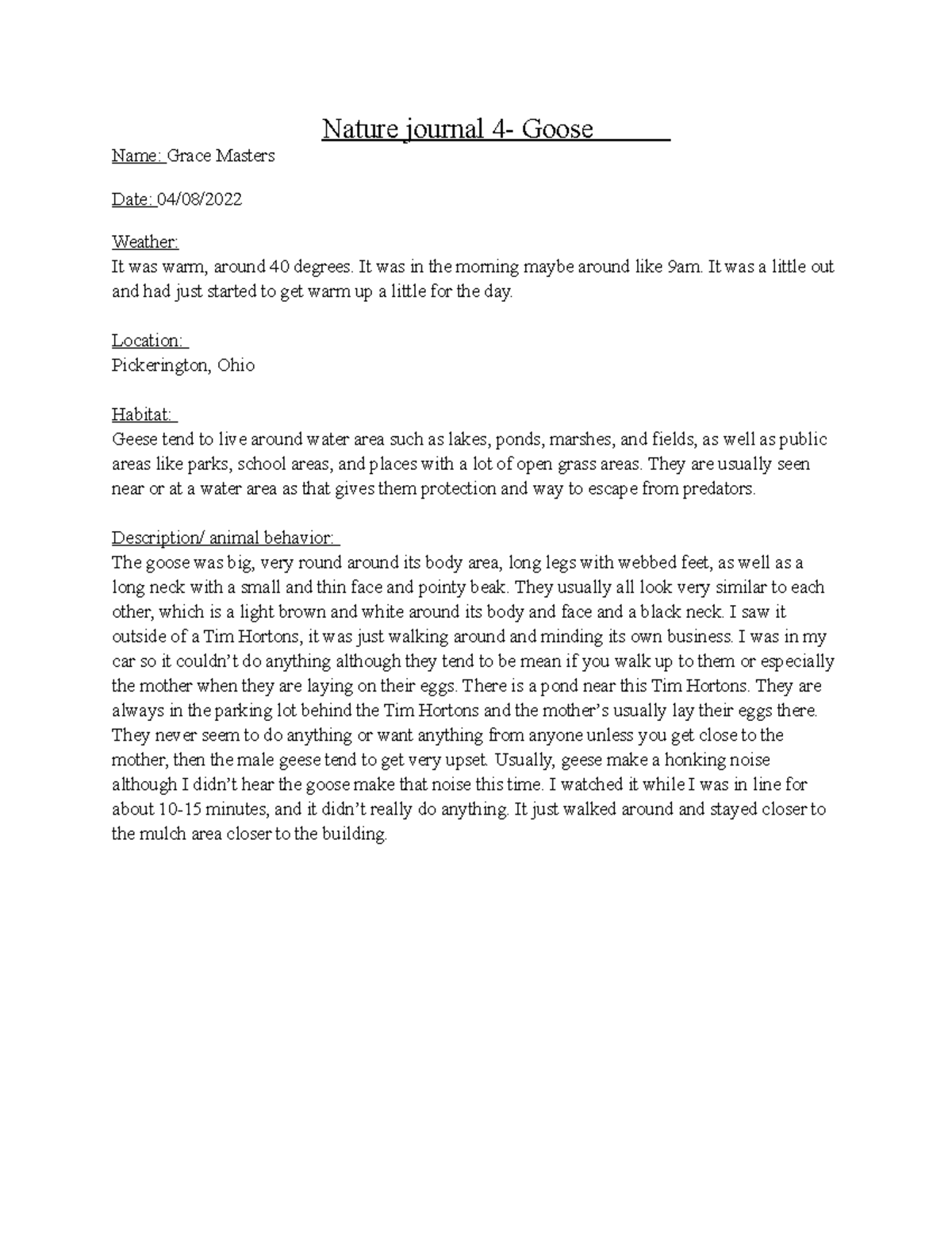 Nature Journal 4 - Nature journal 4- Goose Name: Grace Masters Date: 04 ...