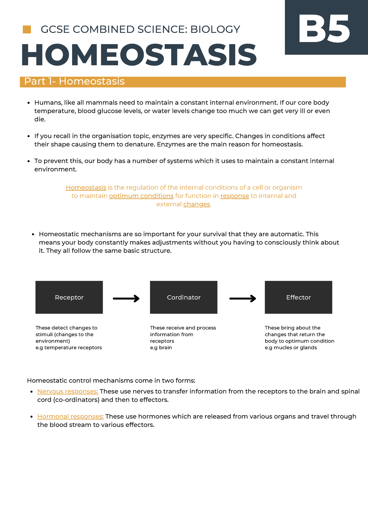 GCSE Combined Science Biology - GCSE COMBINED SCIENCE: BIOLOGY ...