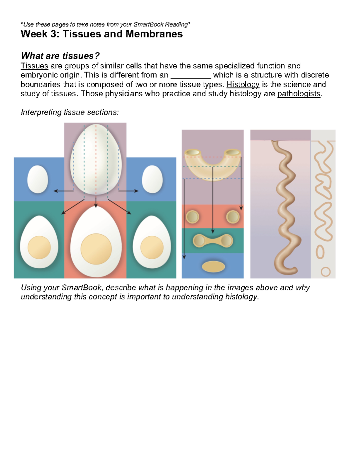 F22+ANA+109+Unit+2+Note+Packet - Use these pages to take notes from ...