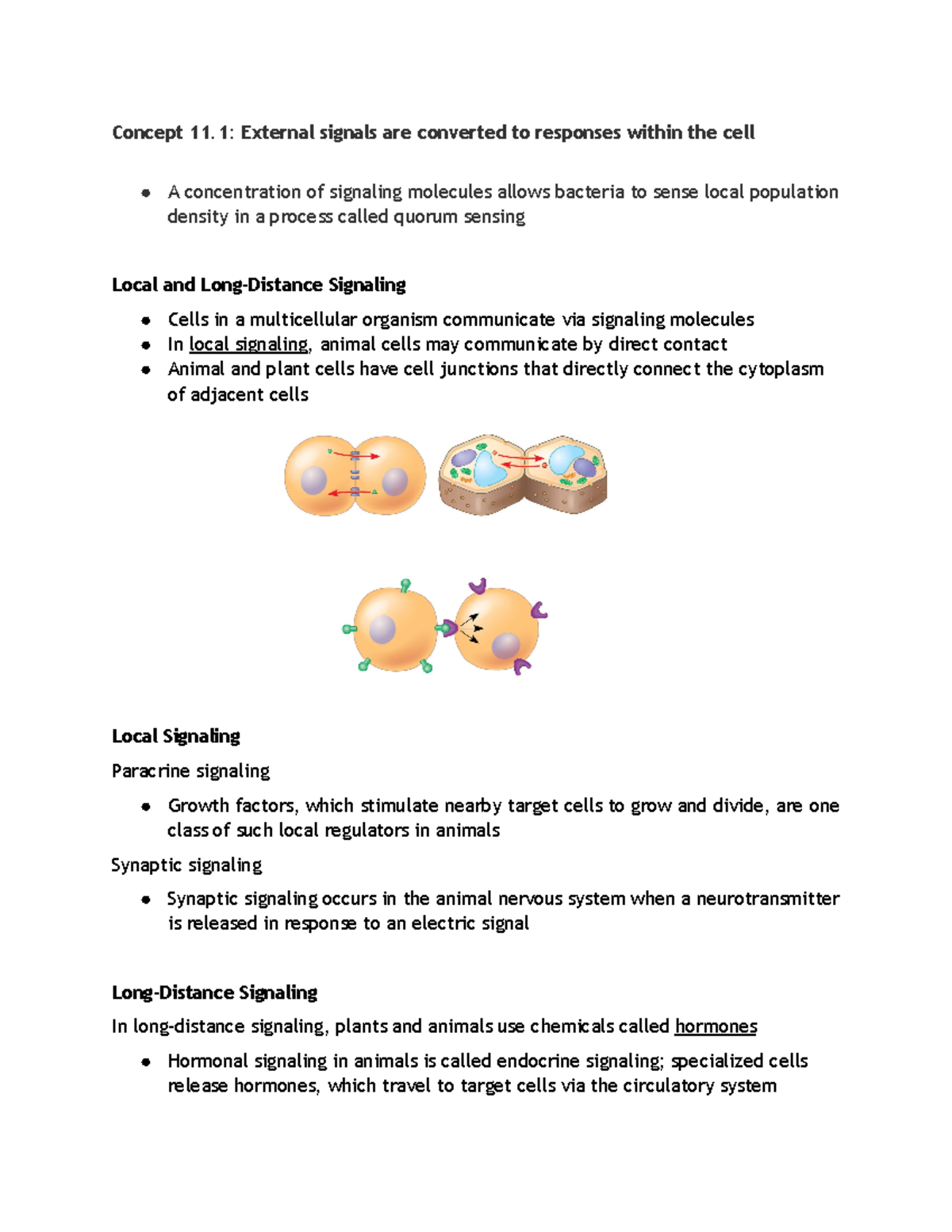 Chapter 11 bio - Notes - Concept 11: External signals are converted to ...