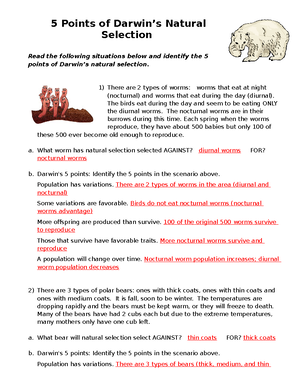 5 Points of Natural Selection - Answer Key - BSC 2930 - Studocu