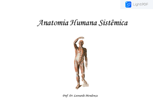 Introdução Anatomia E Sistema Esquelético 240305 121133 Anatomia